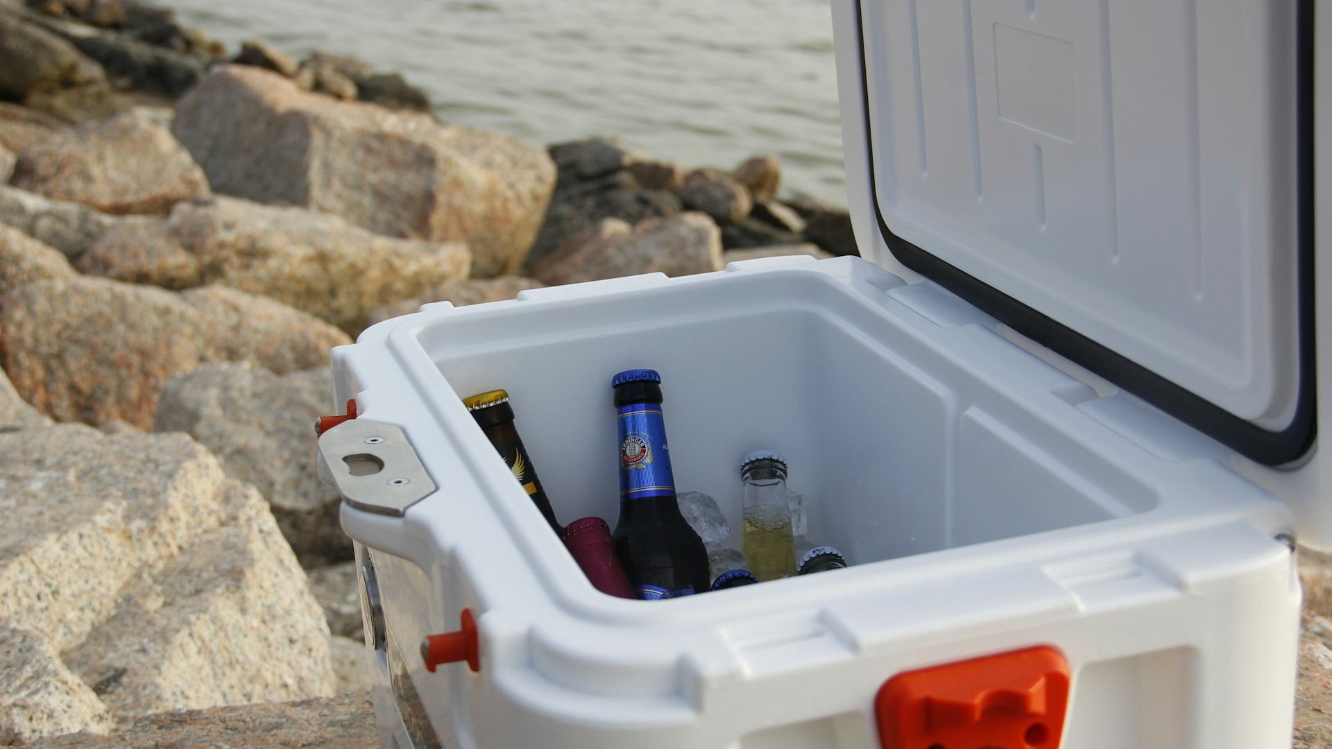 Amazon’s Finest Coolboxes: Your Essential Guide to Outdoor Chill 